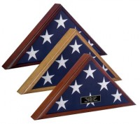 GEF10SC VETERAN FLAG CASE